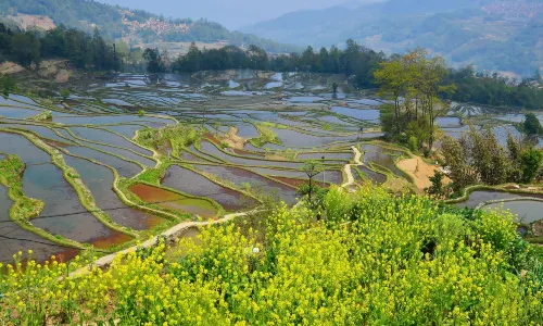 Yuanyang Hani Terrace
