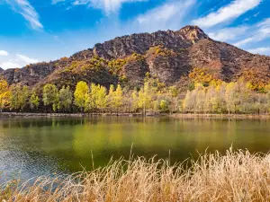 Baili Landscape Gallery
