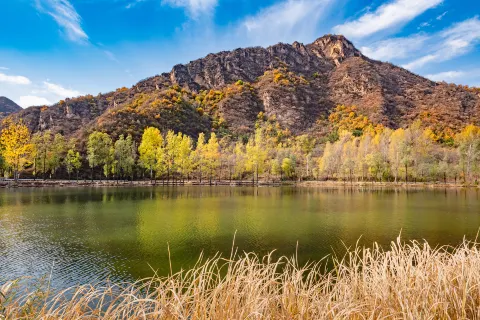 Baili Landscape Gallery