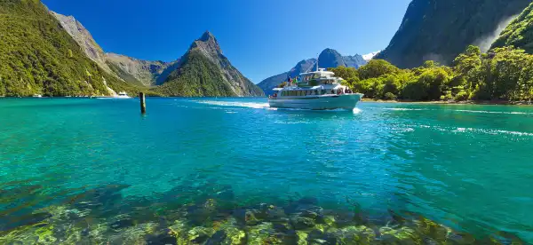 Hotels near Milford sounds