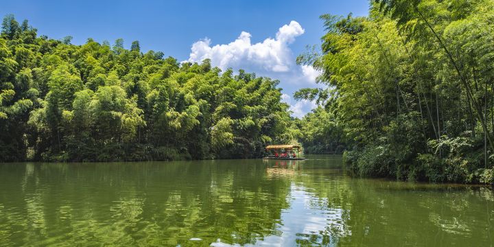蜀南竹海