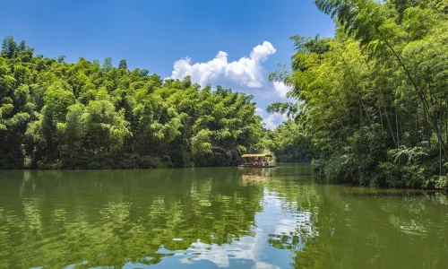 Southen Sichuan Bamboo Sea