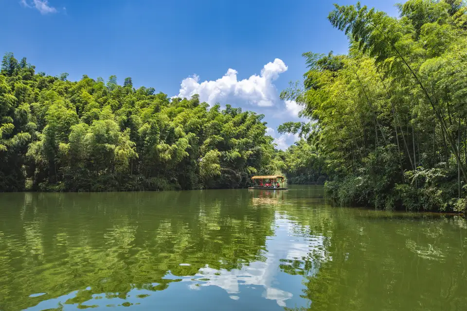 1_Southen Sichuan Bamboo Sea