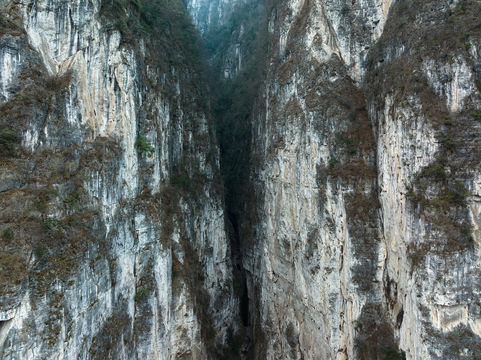 Mount Emei Ecological Monkey Area - Yixiantian