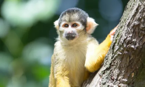 London Zoo