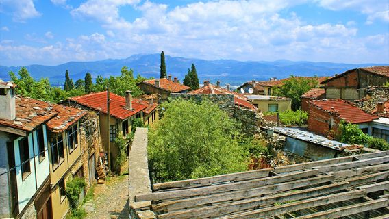Bursa