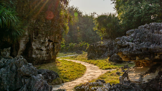 Shi Jing Lin Scenic Spot