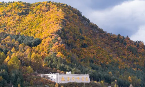 Jinzufeng Scenic Area