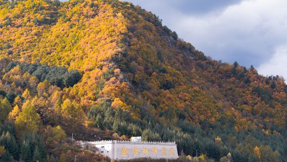 Jinzufeng Scenic Area