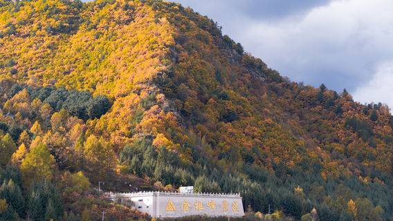 Jinzufeng Scenic Area