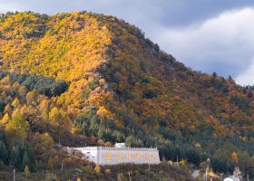 ニューカレドニアでしか買えないお土産10選！ヌメアで人気の女子ウケ