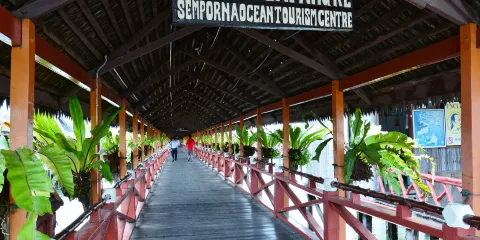 仙本那海洋旅遊中心