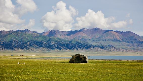 West Sea Grassland