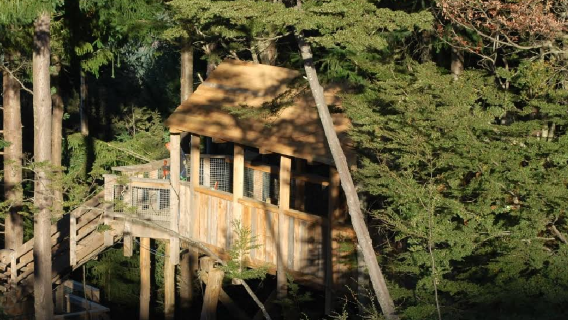 Ziptrek Treehouse – Tour Check-In