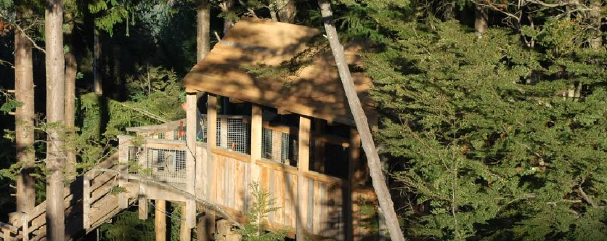 Ziptrek Treehouse – Tour Check-In