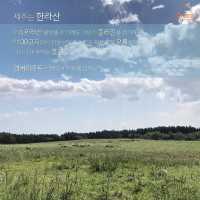 [엠버리조트 추천이유]