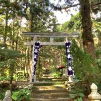 【屋久島】益救神社