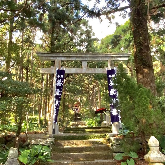 【屋久島】益救神社