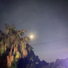 草山夜未眠張用戶圖片