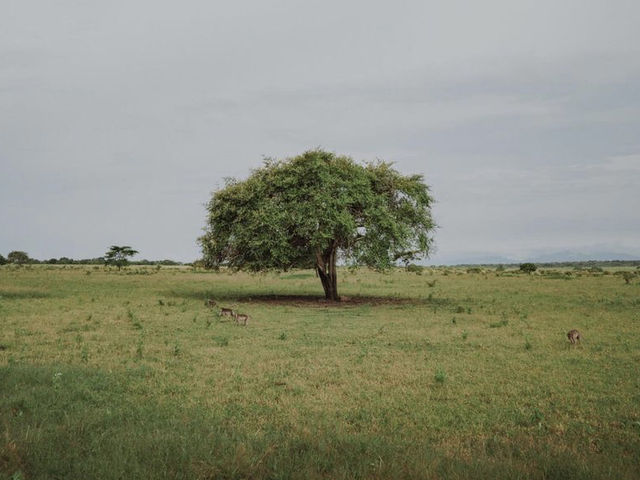 Baluran National Park