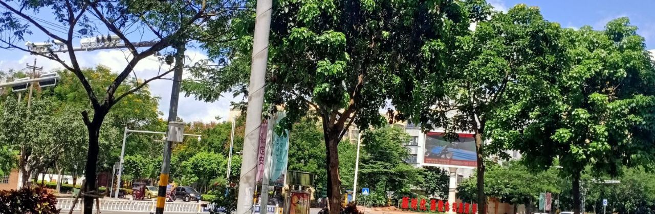 菠萝蜜水吧(塔北路店)