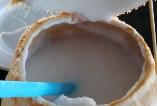 芭提雅啤酒花園用戶圖片