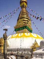 Templo Swayambhunath (Templo de los monos)