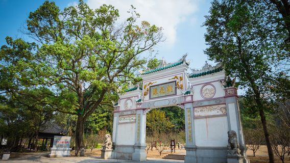 Đào Nguyên