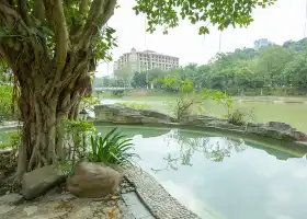 南崑山溫泉大觀園