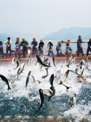 Qiandao Lake Fishing