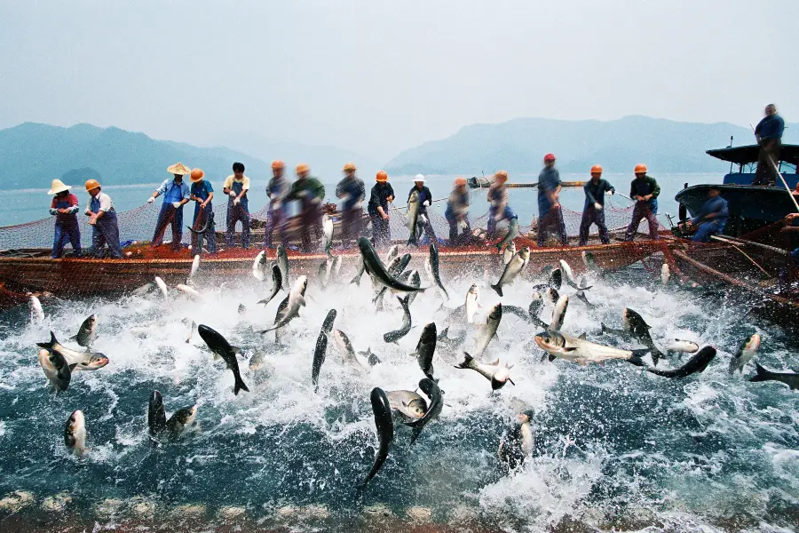 Qiandao Lake Fishing