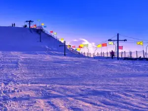 Yinchuan Mingcui Lake Siji Ski Field