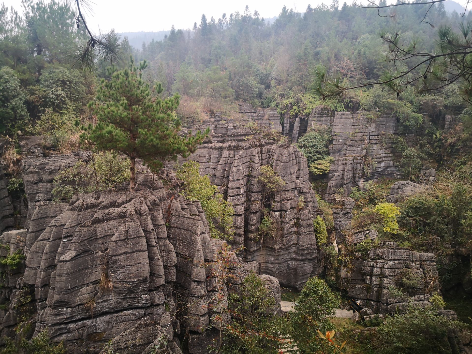 Enshi Suobuya Stone Forest Scenic Area Travel Guidebook Must Visit Attractions In Enshi Suobuya Stone Forest Scenic Area Nearby Recommendation Trip Com