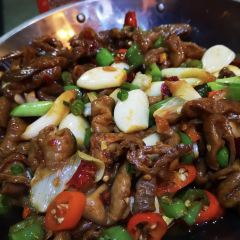 Shengheting User Photo