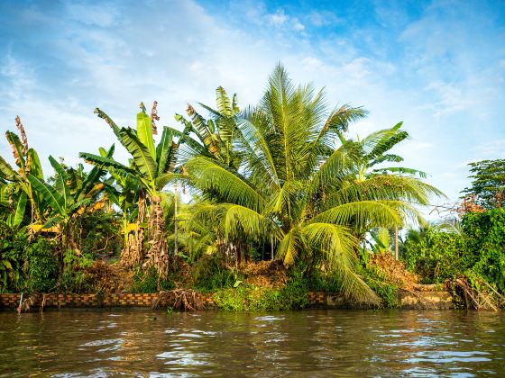 Mekong River Delta