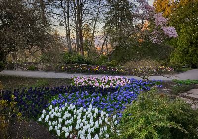 Daishi Park