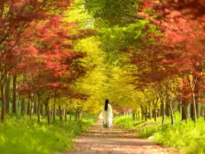 Huakai Haishang Ecological Park