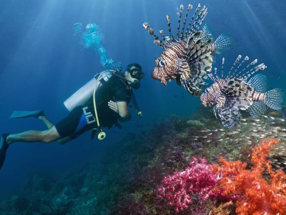 上海海洋水族館