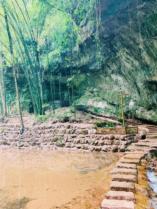 Bamboo Canyon Scenic Area (Jinji Valley)