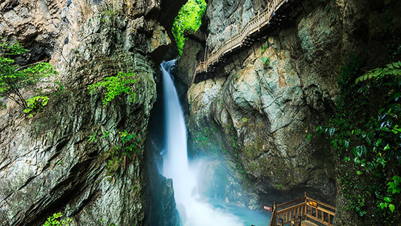 Shennongjia