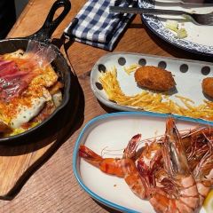 The Optimist張用戶圖片