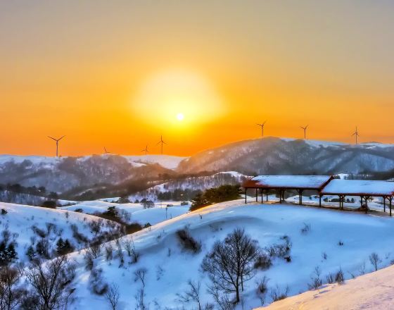 平昌郡 自由行套票