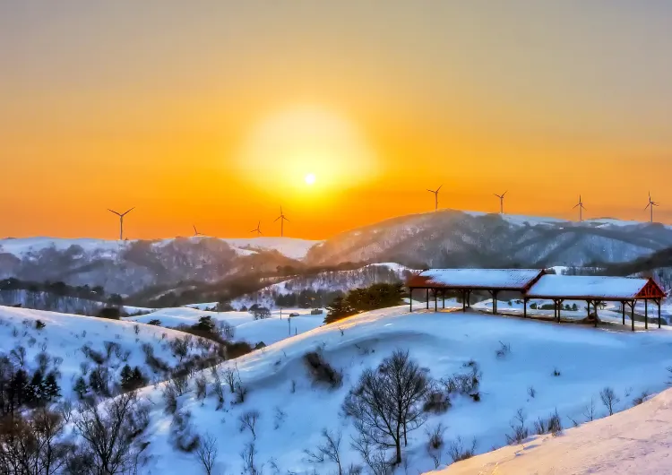 평창 날씨, 평창 기온 가이드, 여행하기 가장 좋은 계절, 기온별 옷차림