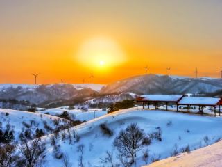 진부역 ktx 도착 시간표