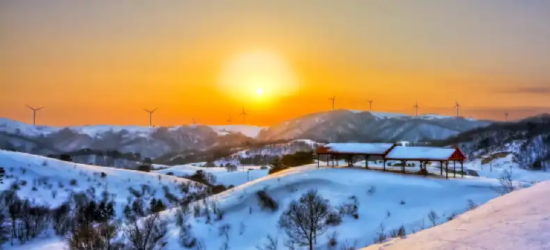 대관령 주변 호텔