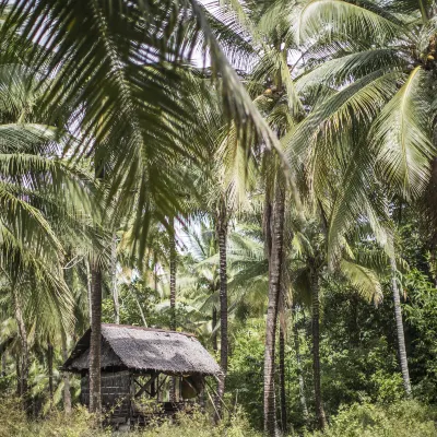 Hotels in Camiguin Island