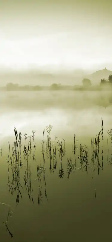 5-Sterne-Hotels in Thüringen, Deutschland