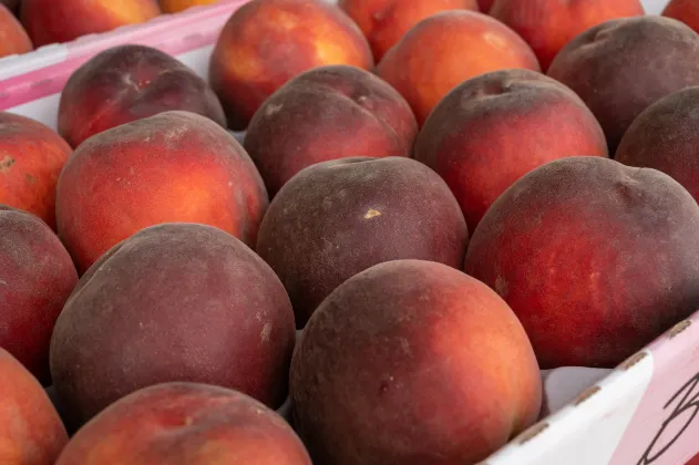 Ibis Budget Besançon Centre Gare