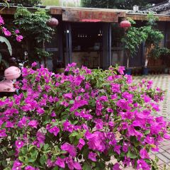 SHENGTAIYUAN NONGZHUANG User Photo