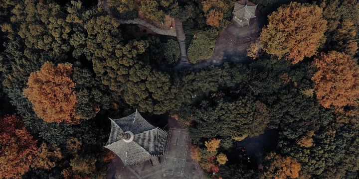鹿山公園